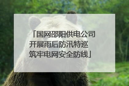 国网邵阳供电公司开展雨后防汛特巡 筑牢电网安全防线