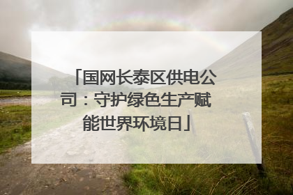 国网长泰区供电公司：守护绿色生产赋能世界环境日