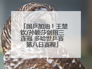 国乒加油！王楚钦/孙颖莎剑指三连冠 多哈世乒赛第八日赛程