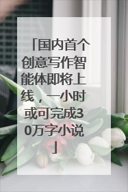 国内首个创意写作智能体即将上线，一小时或可完成30万字小说