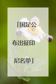 国足公布出征印尼名单