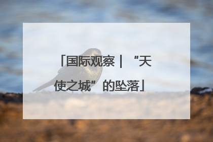 国际观察｜“天使之城”的坠落