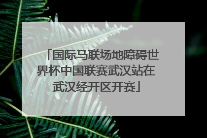 国际马联场地障碍世界杯中国联赛武汉站在武汉经开区开赛