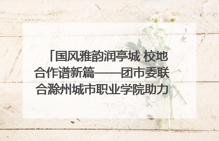 国风雅韵润亭城 校地合作谱新篇——团市委联合滁州城市职业学院助力传统文化“破圈”绽放