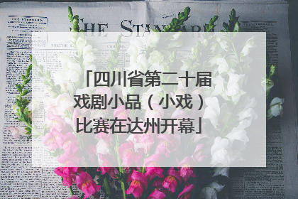 四川省第二十届戏剧小品（小戏）比赛在达州开幕
