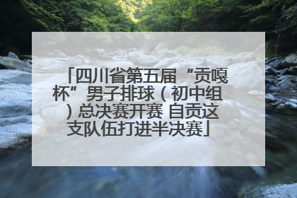 四川省第五届“贡嘎杯”男子排球（初中组）总决赛开赛 自贡这支队伍打进半决赛