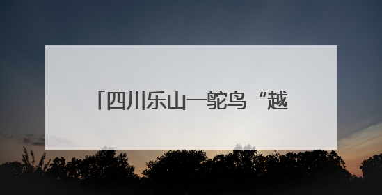四川乐山一鸵鸟“越狱”马路狂奔，目击者：时速超40码，还对我“笑”了下