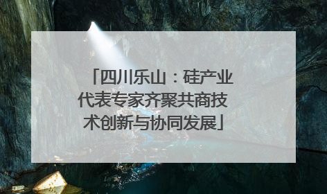 四川乐山：硅产业代表专家齐聚共商技术创新与协同发展