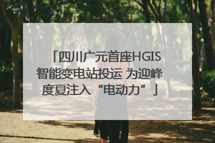 四川广元首座HGIS智能变电站投运 为迎峰度夏注入“电动力”