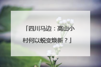 四川马边：高山小村何以蜕变焕新？