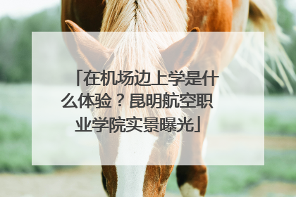 在机场边上学是什么体验？昆明航空职业学院实景曝光