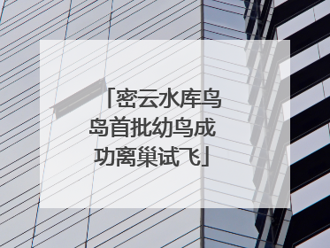密云水库鸟岛首批幼鸟成功离巢试飞