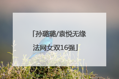 孙璐璐/袁悦无缘法网女双16强