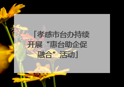孝感市台办持续开展“惠台助企促融合”活动