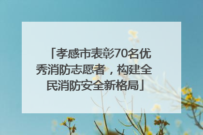 孝感市表彰70名优秀消防志愿者，构建全民消防安全新格局