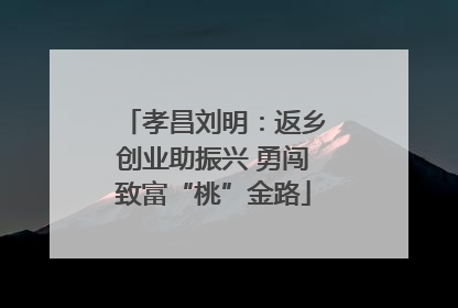 孝昌刘明：返乡创业助振兴 勇闯致富“桃”金路
