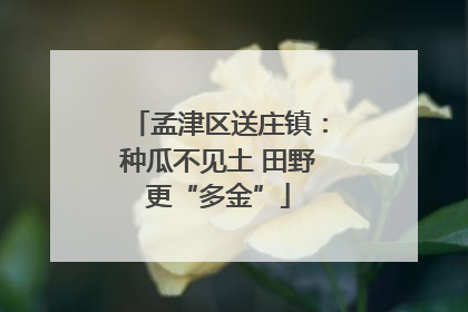 孟津区送庄镇：种瓜不见土 田野更“多金”