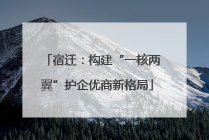 宿迁：构建“一核两翼”护企优商新格局