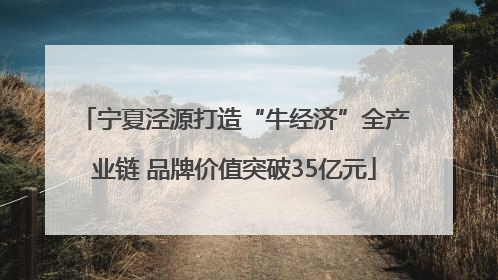 宁夏泾源打造“牛经济”全产业链 品牌价值突破35亿元