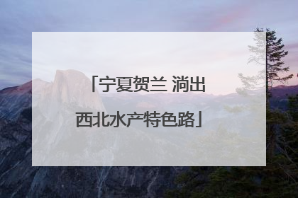宁夏贺兰 淌出西北水产特色路