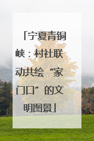 宁夏青铜峡：村社联动共绘“家门口”的文明图景