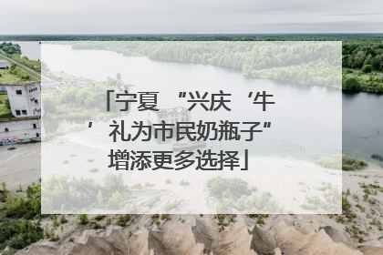 宁夏 “兴庆‘牛’礼为市民奶瓶子”增添更多选择