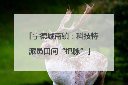 宁德城南镇：科技特派员田间“把脉”