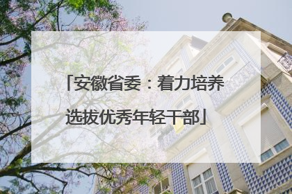 安徽省委：着力培养选拔优秀年轻干部