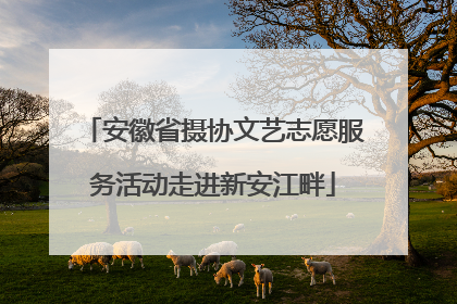 安徽省摄协文艺志愿服务活动走进新安江畔