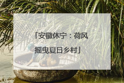 安徽休宁：荷风摇曳夏日乡村
