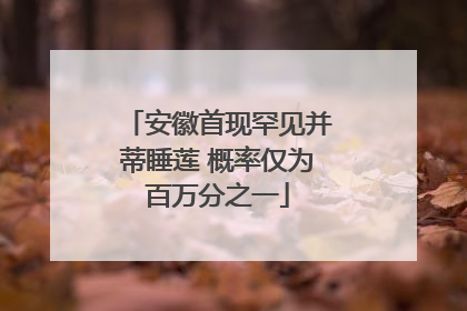 安徽首现罕见并蒂睡莲 概率仅为百万分之一