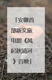 安徽首部新文旅电影《风起秋浦河》首映