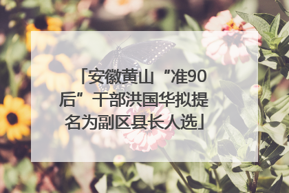 安徽黄山“准90后”干部洪国华拟提名为副区县长人选