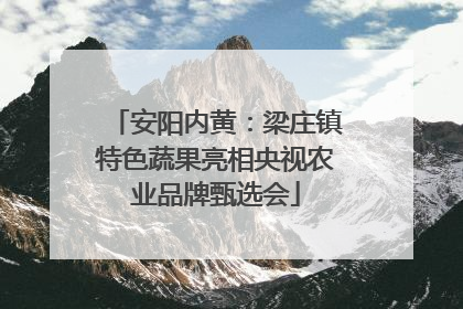 安阳内黄：梁庄镇特色蔬果亮相央视农业品牌甄选会