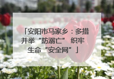 安阳市马家乡：多措并举“防溺亡” 织牢生命“安全网”