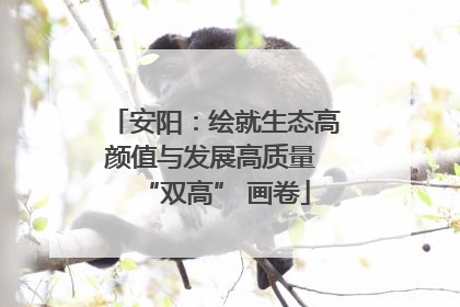 安阳：绘就生态高颜值与发展高质量 “双高” 画卷