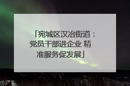 宛城区汉冶街道：党员干部进企业 精准服务促发展
