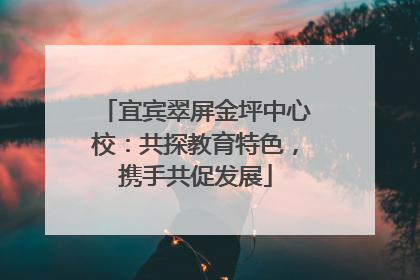 宜宾翠屏金坪中心校：共探教育特色，携手共促发展