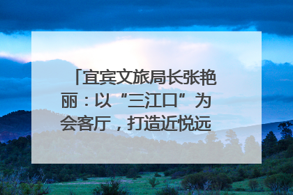 宜宾文旅局长张艳丽：以“三江口”为会客厅，打造近悦远来的国际旅游城市｜文旅局长说