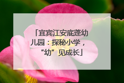 宜宾江安底蓬幼儿园：探秘小学，“幼”见成长