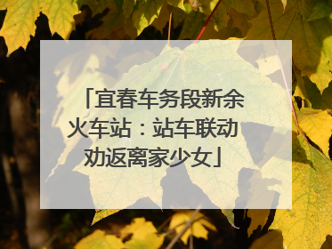 宜春车务段新余火车站：站车联动劝返离家少女