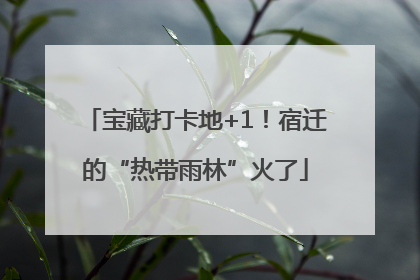 宝藏打卡地+1！宿迁的“热带雨林”火了