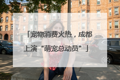 宠物消费火热，成都上演“萌宠总动员”