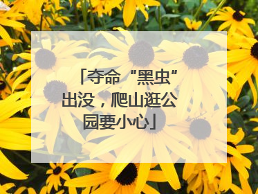 夺命“黑虫”出没，爬山逛公园要小心