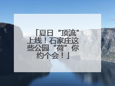 夏日“顶流”上线！石家庄这些公园“荷”你约个会！