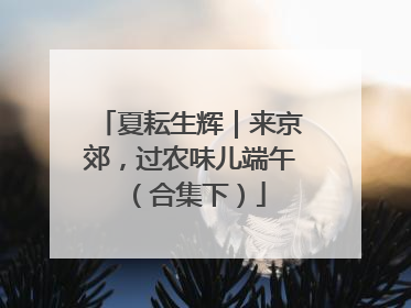 夏耘生辉｜来京郊，过农味儿端午（合集下）