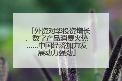外资对华投资增长、数字产品消费火热……中国经济加力发展动力强劲