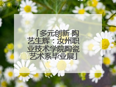 多元创新 陶艺生辉：汝州职业技术学院陶瓷艺术系毕业展