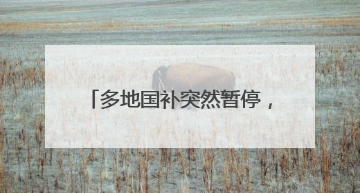 多地国补突然暂停，网友：慢慢变味了，显示国家补贴2025年12月31日结束
