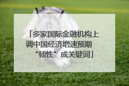 多家国际金融机构上调中国经济增速预期 “韧性”成关键词